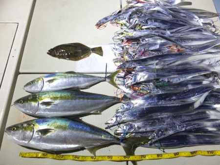 Hit Rush(ヒット ラッシュ） 釣果