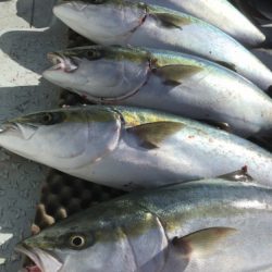 釣船 浦島太郎 釣果