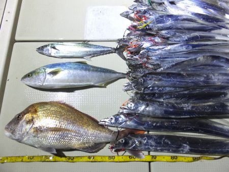 Hit Rush(ヒット ラッシュ） 釣果…