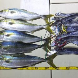 Hit Rush(ヒット ラッシュ） 釣果