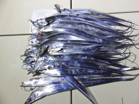 Hit Rush(ヒット ラッシュ） 釣果…