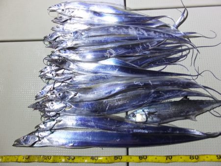 Hit Rush(ヒット ラッシュ） 釣果…