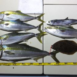 Hit Rush(ヒット ラッシュ） 釣果