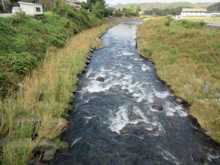 狩野川(狩野川漁業協同組合) 釣果