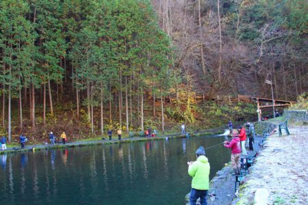 小菅トラウトガーデン 釣果