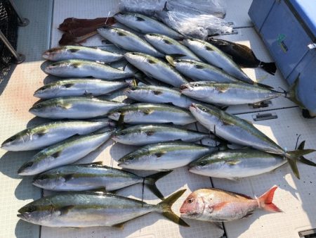 ふじしめ丸 釣果