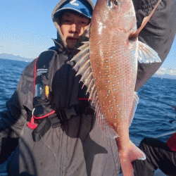 遊漁船ブルーウッズ 釣果