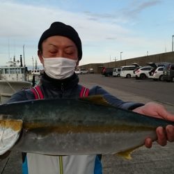 大進丸(新潟) 釣果