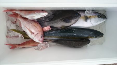 大進丸(新潟) 釣果