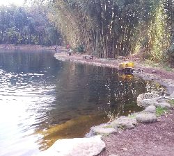 管理釣り場デビュー！