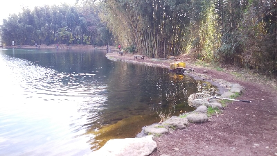 管理釣り場デビュー！