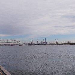 厳しくなってきたのに型は小さい