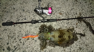 久しぶりの手応え