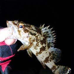 少なくなってきた