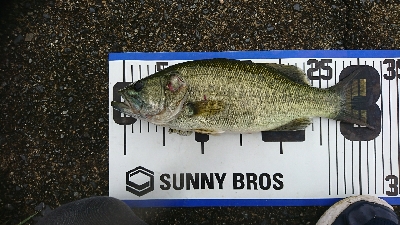 寒くなってきました。