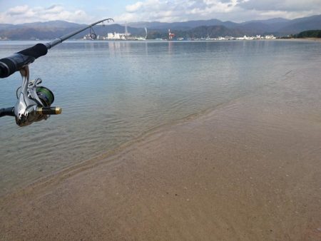 サーフでタルイカ