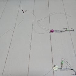 三宅さん試したくて。