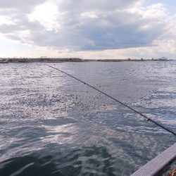 タチウオもう数は釣れないのか