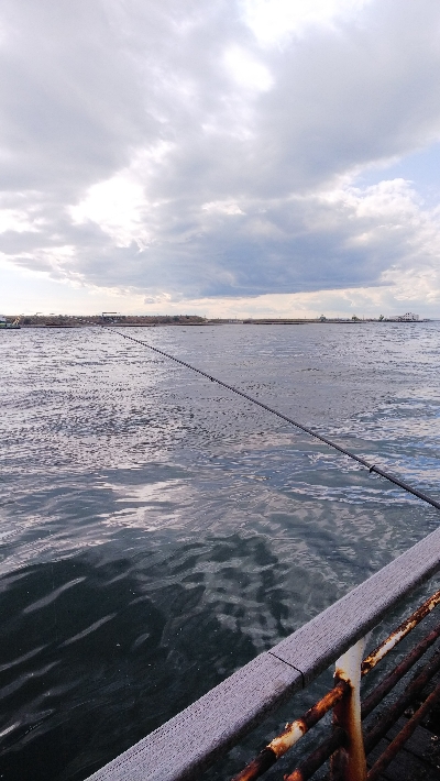 タチウオもう数は釣れないのか