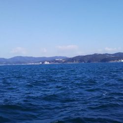 三邦丸　カワハギ専門便