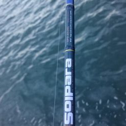 タチウオ南港マイポイント釣行