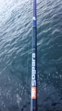 タチウオ南港マイポイント釣行