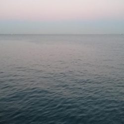 今ｼｰｽﾞﾝおき入りの泉大津ｴﾘｱにタチウオ釣行