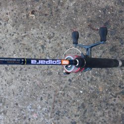 今ｼｰｽﾞﾝおき入りの泉大津ｴﾘｱにタチウオ釣行