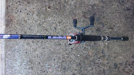 今ｼｰｽﾞﾝおき入りの泉大津ｴﾘｱにタチウオ釣行