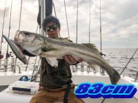 オーシャンマスター 釣果