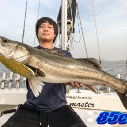 オーシャンマスター 釣果