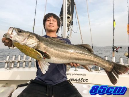 オーシャンマスター 釣果