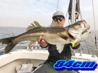 オーシャンマスター 釣果