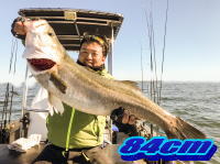 オーシャンマスター 釣果