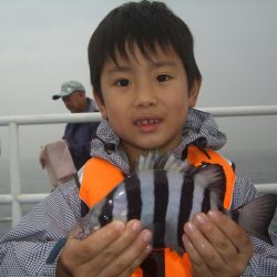 オリジナルメーカー海づり公園(市原市海づり施設) 釣果