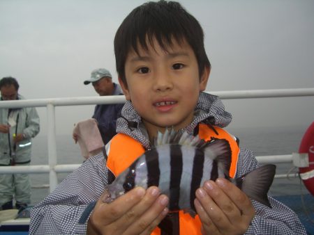 オリジナルメーカー海づり公園(市原市海づり施設) 釣果