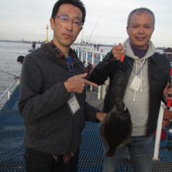 オリジナルメーカー海づり公園(市原市海づり施設) 釣果