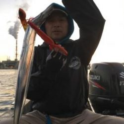 シーマジカル 釣果