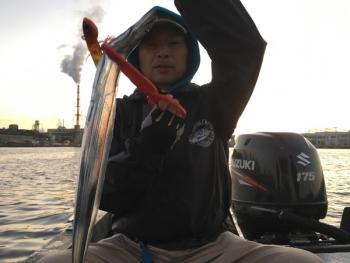 シーマジカル 釣果