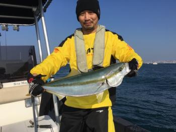 シーマジカル 釣果