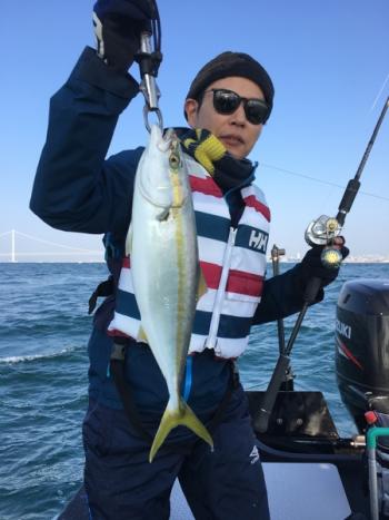 シーマジカル 釣果