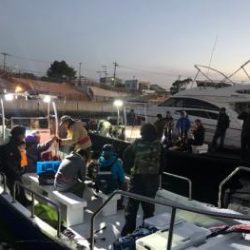 シーマジカル 釣果