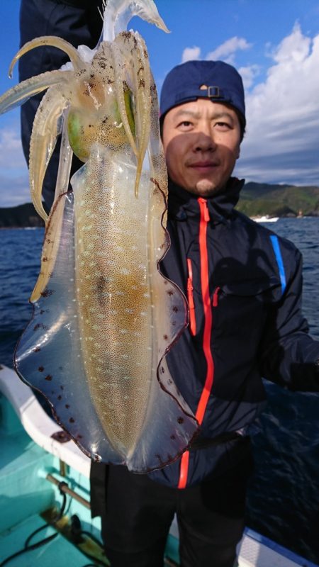 シードリーム 釣果