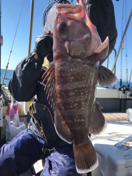 Blue.win 海人丸 釣果