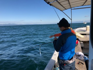 幸吉丸 釣果