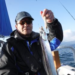 遊漁船 幸友丸 釣果