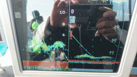 遊漁船ブルーウッズ 釣果