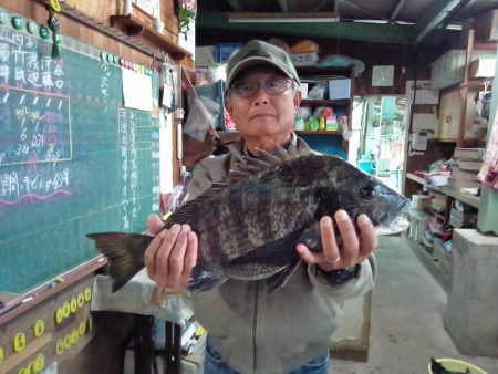 ふじや釣舟店 釣果