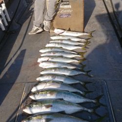 FISHING RISKY 釣果