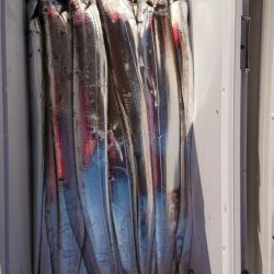 FISHING RISKY 釣果